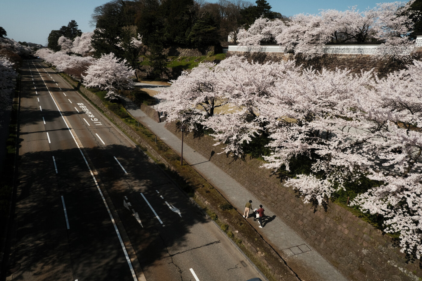 富士フイルム フジノンレンズ XC15-45mmF3.5-5.6 OIS PZ 作例 | 実写